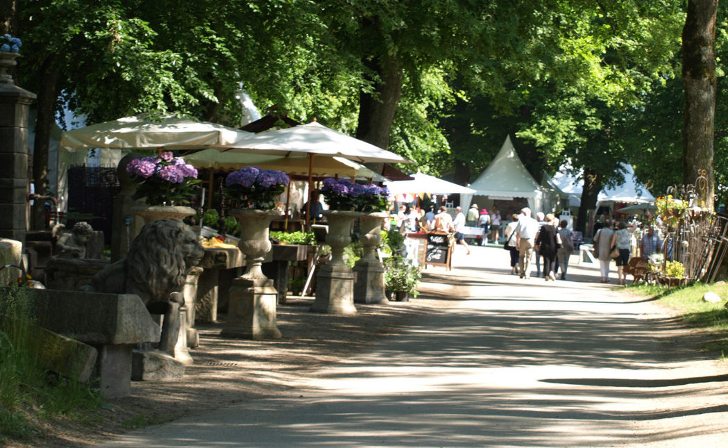 Waldweg mit Ständen