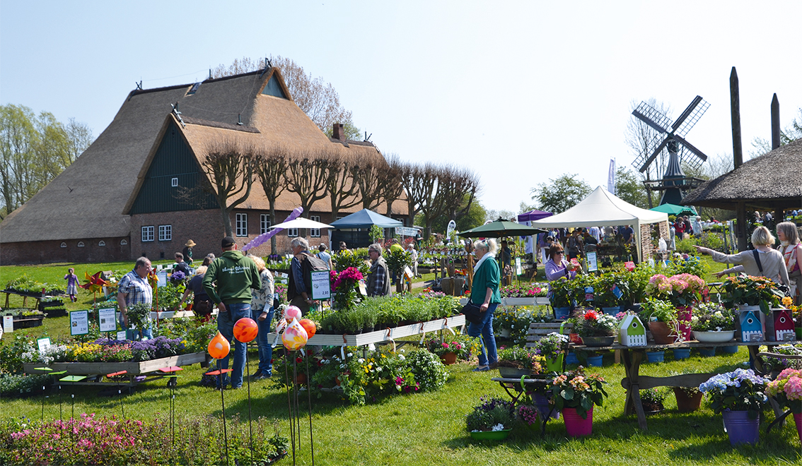 Gärtnermarkt Molfsee