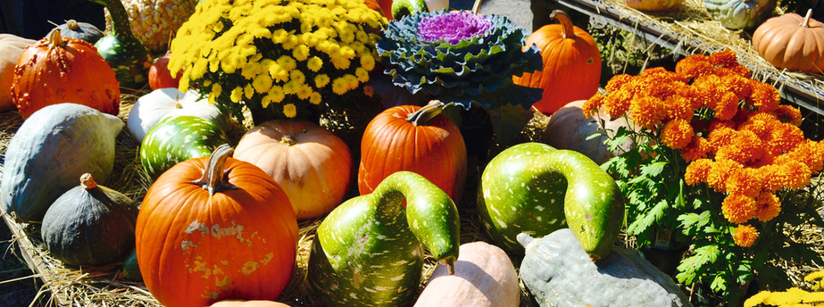 Herbst