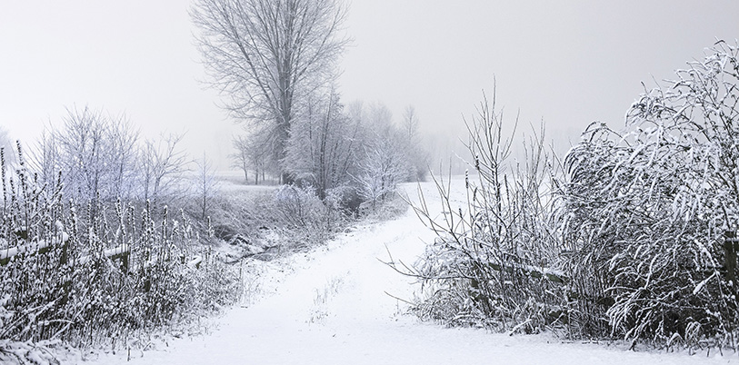 Behagliches Wohnen Im Winter